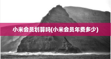 小米会员划算吗(小米会员年费多少)