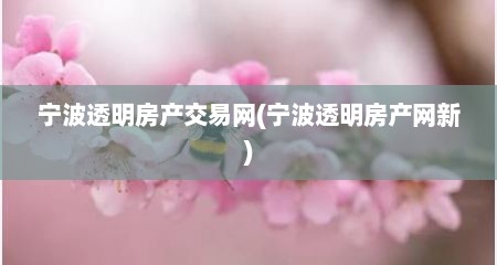 宁波透明房产交易网(宁波透明房产网新)
