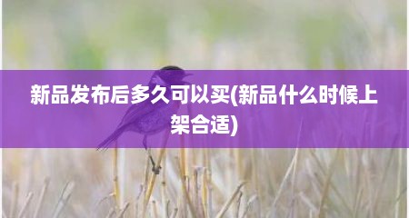 新品发布后多久可以买(新品什么时候上架合适)