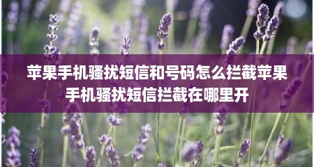 苹果手机骚扰短信和号码怎么拦截苹果手机骚扰短信拦截在哪里开