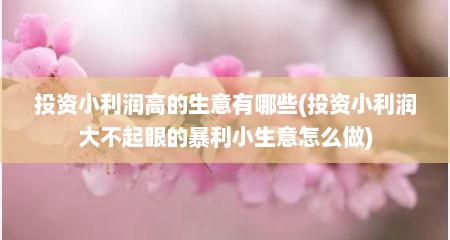 投资小利润高的生意有哪些(投资小利润大不起眼的暴利小生意怎么做)