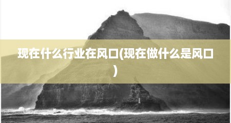 现在什么行业在风口(现在做什么是风口)