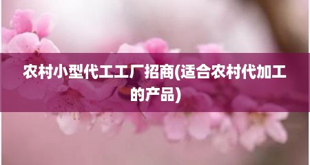 农村小型代工工厂招商(适合农村代加工的产品)