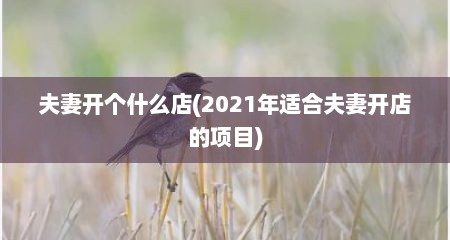 夫妻开个什么店(2021年适合夫妻开店的项目)