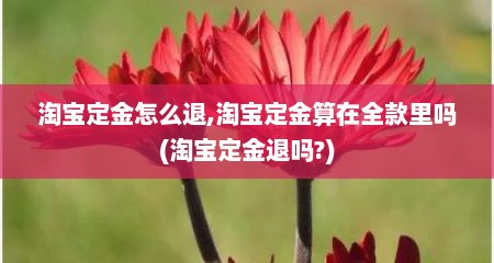 淘宝定金怎么退,淘宝定金算在全款里吗(淘宝定金退吗?)
