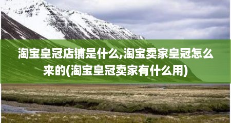 淘宝皇冠店铺是什么,淘宝卖家皇冠怎么来的(淘宝皇冠卖家有什么用)