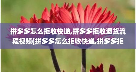 拼多多怎么拒收快递,拼多多拒收退货流程视频(拼多多怎么拒收快递,拼多多拒收退货流程)