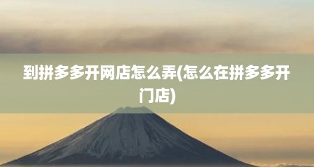 到拼多多开网店怎么弄(怎么在拼多多开门店)
