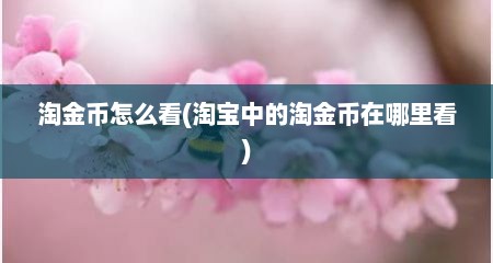 淘金币怎么看(淘宝中的淘金币在哪里看)