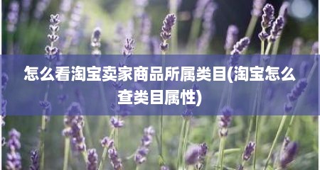 怎么看淘宝卖家商品所属类目(淘宝怎么查类目属性)