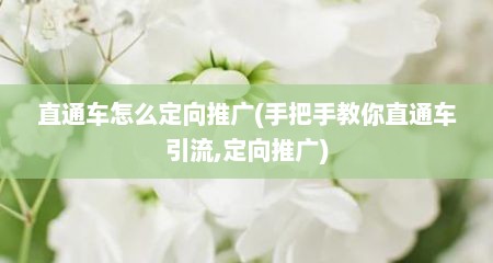 直通车怎么定向推广(手把手教你直通车引流,定向推广)