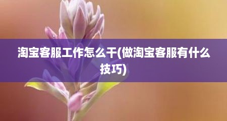 淘宝客服工作怎么干(做淘宝客服有什么技巧)