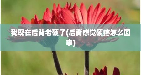 我现在后背老硬了(后背感觉硬疼怎么回事)
