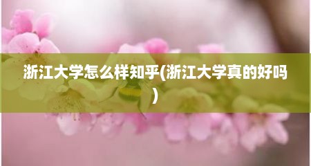 浙江大学怎么样知乎(浙江大学真的好吗)