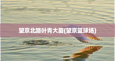 望京北路叶青大厦(望京篮球场)