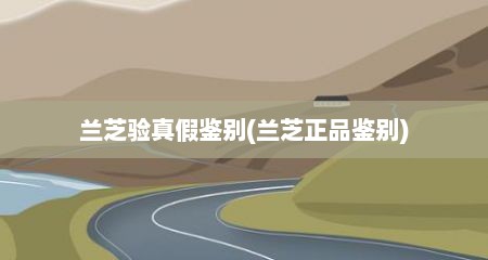 兰芝验真假鉴别(兰芝正品鉴别)