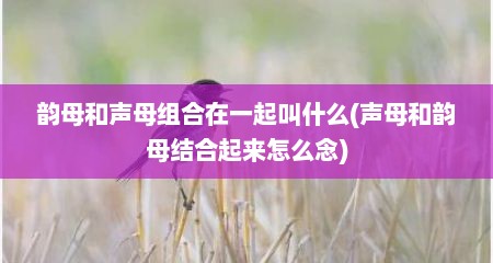 韵母和声母组合在一起叫什么(声母和韵母结合起来怎么念)