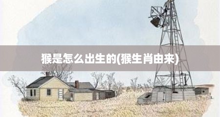猴是怎么出生的(猴生肖由来)