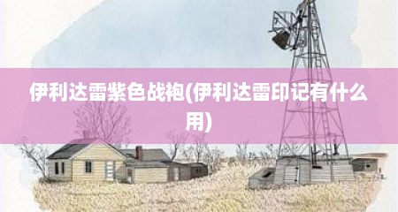 伊利达雷紫色战袍(伊利达雷印记有什么用)