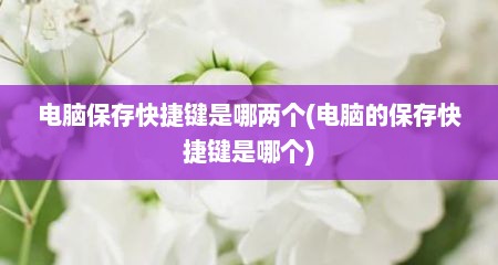 电脑保存快捷键是哪两个(电脑的保存快捷键是哪个)