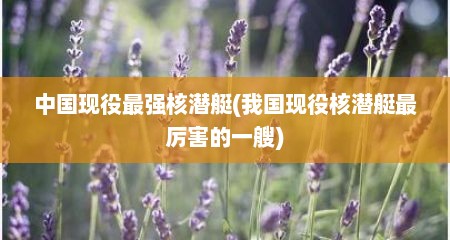 中国现役最强核潜艇(我国现役核潜艇最厉害的一艘)