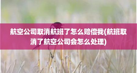 航空公司取消航班了怎么赔偿我(航班取消了航空公司会怎么处理)
