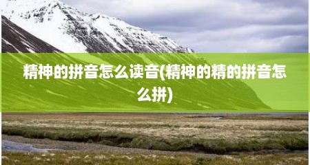 精神的拼音怎么读音(精神的精的拼音怎么拼)