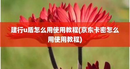 建行u盾怎么用使用教程(京东卡密怎么用使用教程)