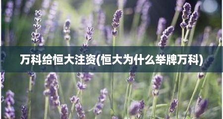 万科给恒大注资(恒大为什么举牌万科)