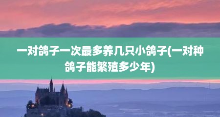 一对鸽子一次最多养几只小鸽子(一对种鸽子能繁殖多少年)