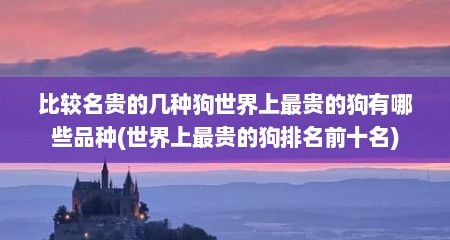 比较名贵的几种狗世界上最贵的狗有哪些品种(世界上最贵的狗排名前十名)