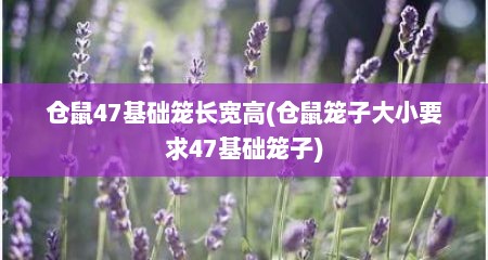 仓鼠47基础笼长宽高(仓鼠笼子大小要求47基础笼子)