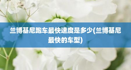 兰博基尼跑车最快速度是多少(兰博基尼最快的车型)