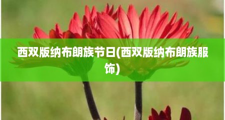 西双版纳布朗族节日(西双版纳布朗族服饰)