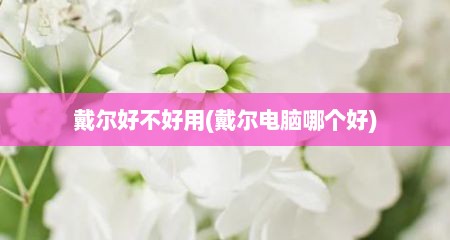 戴尔好不好用(戴尔电脑哪个好)
