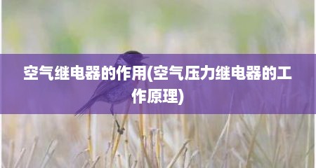 空气继电器的作用(空气压力继电器的工作原理)