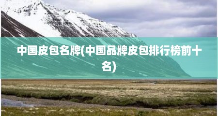 中国皮包名牌(中国品牌皮包排行榜前十名)