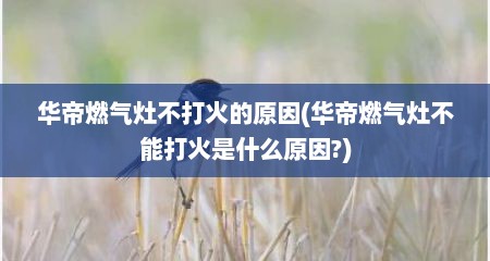 华帝燃气灶不打火的原因(华帝燃气灶不能打火是什么原因?)