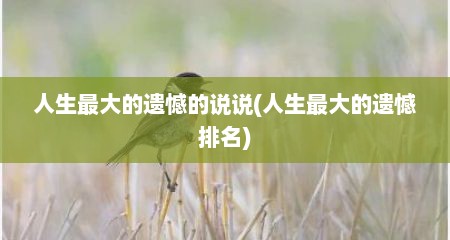 人生最大的遗憾的说说(人生最大的遗憾排名)