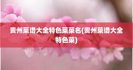 贵州菜谱大全特色菜菜名(贵州菜谱大全特色菜)