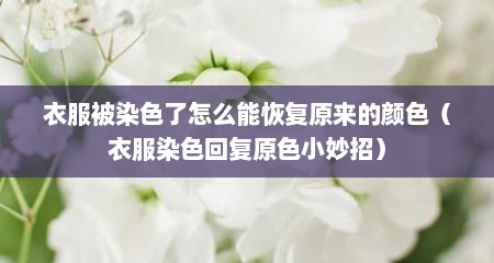 衣服被染色了怎么能恢复原来的颜色（衣服染色回复原色小妙招）
