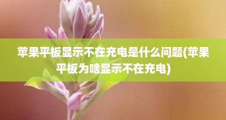苹果平板显示不在充电是什么问题(苹果平板为啥显示不在充电)