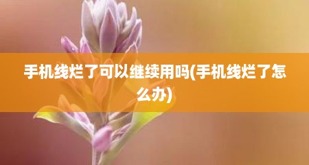 手机线烂了可以继续用吗(手机线烂了怎么办)