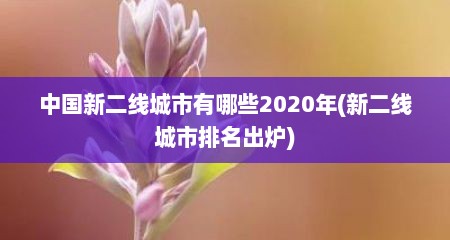 中国新二线城市有哪些2020年(新二线城市排名出炉)