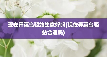 现在开菜鸟驿站生意好吗(现在弄菜鸟驿站合适吗)
