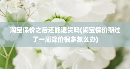 淘宝保价之后还能退货吗(淘宝保价期过了一周降价很多怎么办)