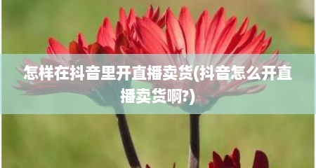 怎样在抖音里开直播卖货(抖音怎么开直播卖货啊?)