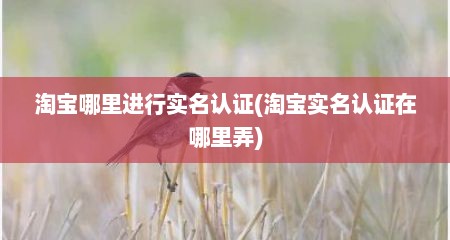 淘宝哪里进行实名认证(淘宝实名认证在哪里弄)