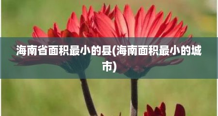 海南省面积最小的县(海南面积最小的城市)