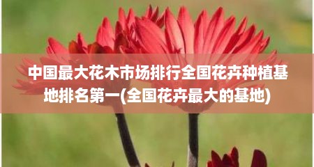 中国最大花木市场排行全国花卉种植基地排名第一(全国花卉最大的基地)
